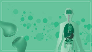 How CBD works