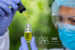 All about CBD